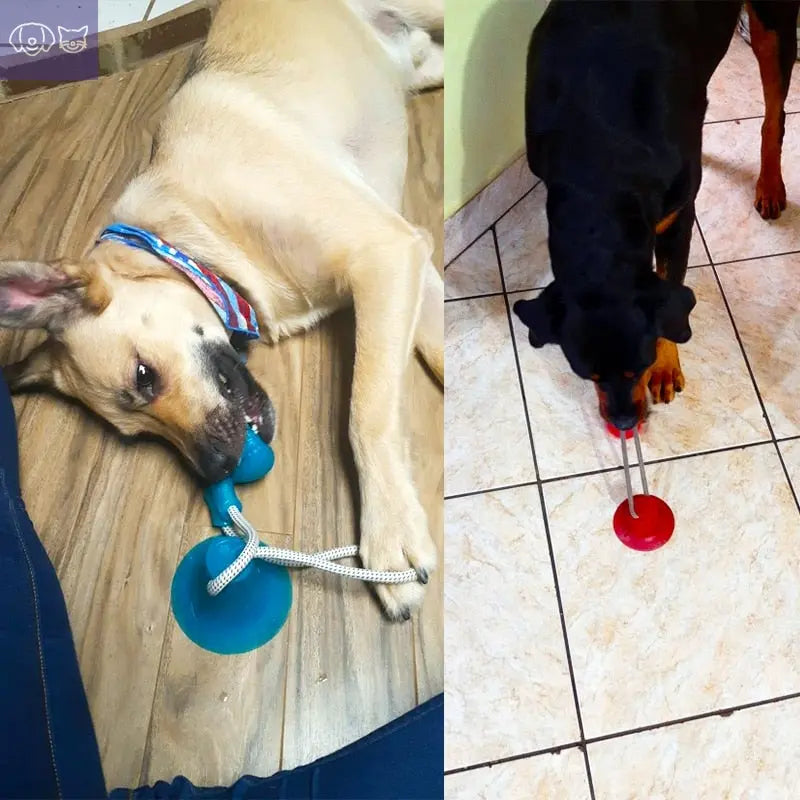 ChewzyPaw™ Dog Bite Toy