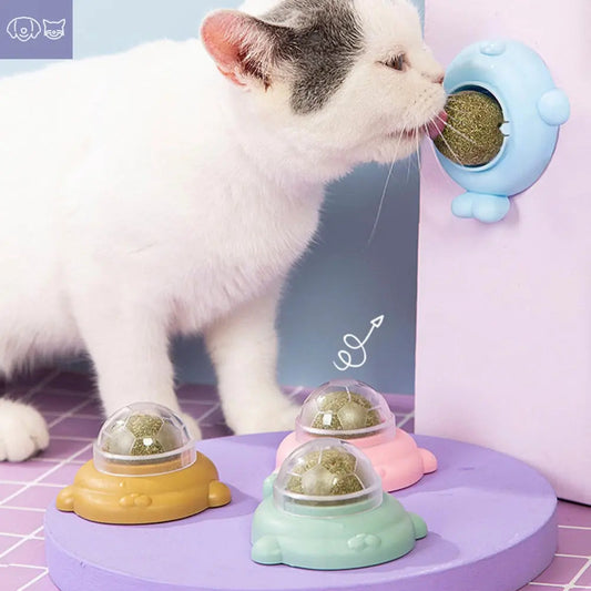 Natural Catnip Cat Rotatable Catnip Wall Ball