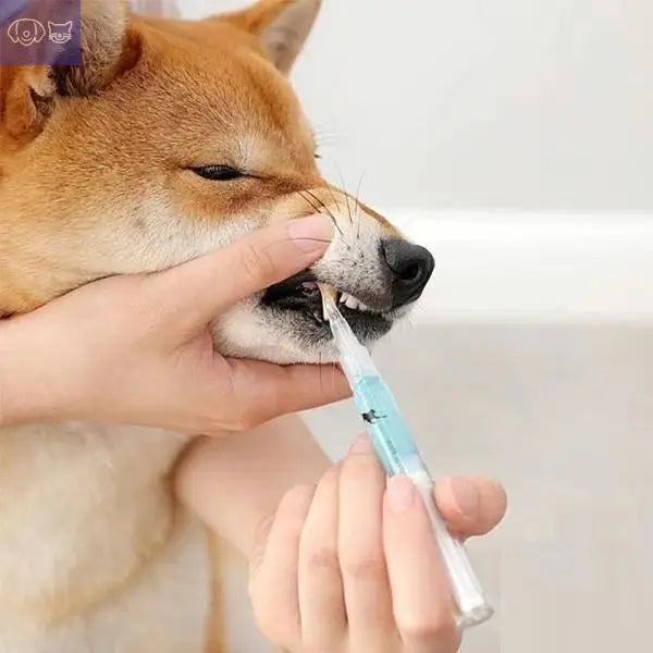 Furfect Smile™ Pet Dental Care
