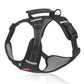 No Pull Dog Harness – Comfortable Control for Your Dog