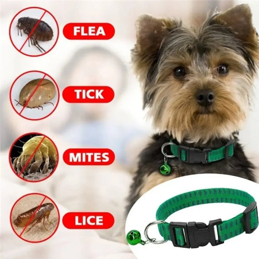 Anti Flea Collar – Nylon Adjustable Kill Insect Mosquitoes and Ticks for Dogs