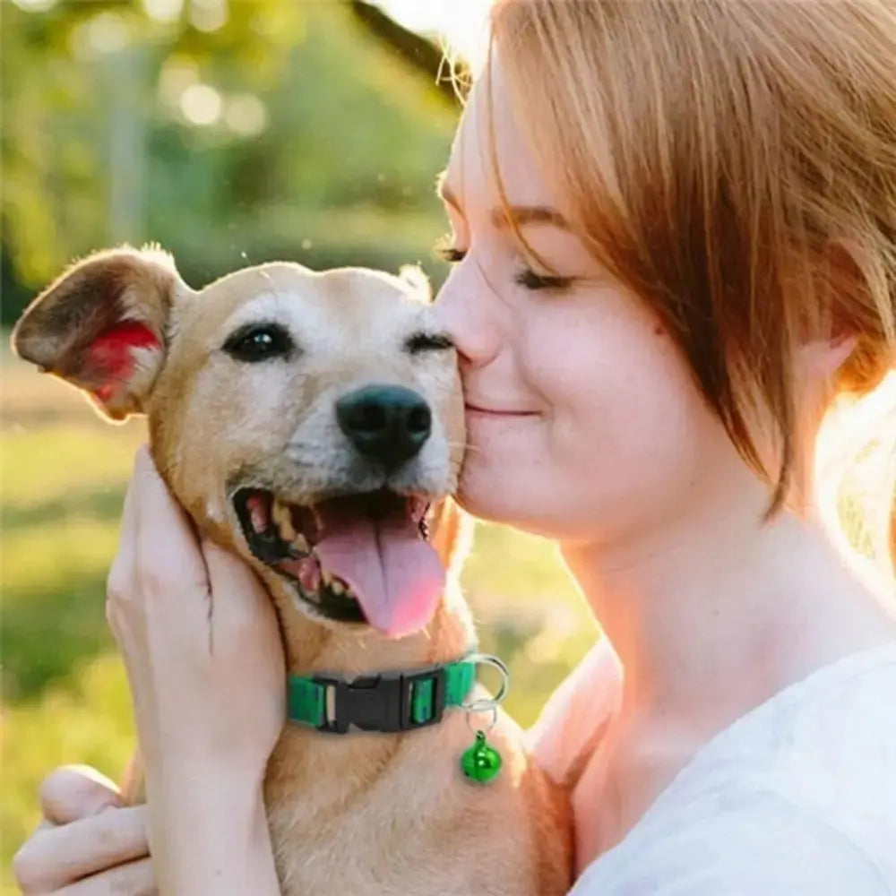 Anti Flea Collar – Nylon Adjustable Kill Insect Mosquitoes and Ticks for Dogs