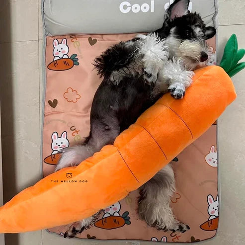 ZenChomp™ Calming Dog Toy