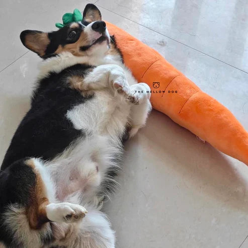 ZenChomp™ Calming Dog Toy