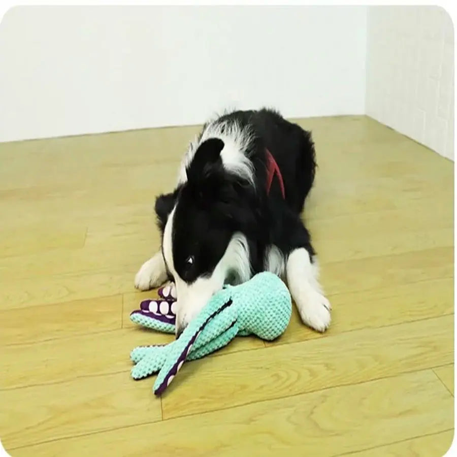 InkyPaws Plush Squeaky Dog Toy