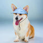 SolarPaws™  Hood