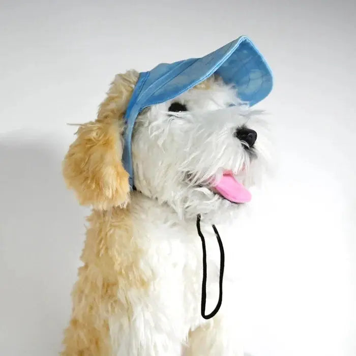 SolarPaws™  Hood