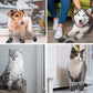 PawProtector™ Waterproof Breathable Dog Socks: Non-Slip & Adjustable