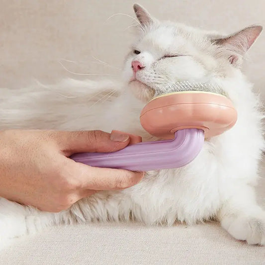 Pet Pumpkin Brush