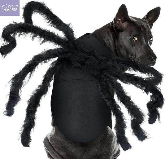 Pet Spider Costume - Halloween Spider Costume for Cats and dogs