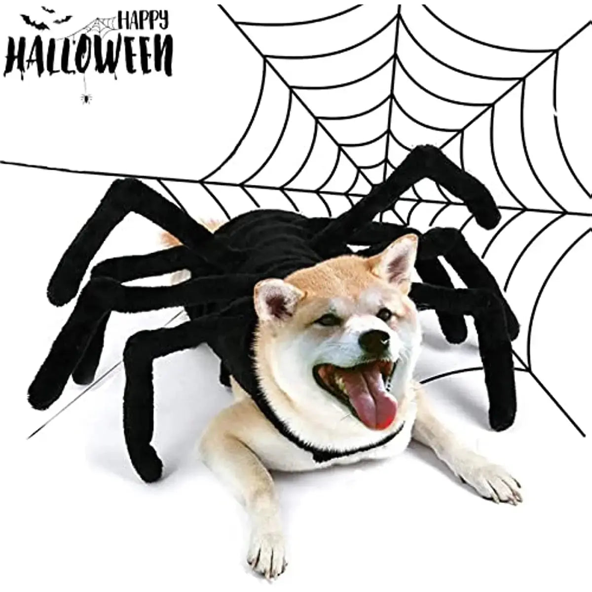 Pet Spider Costume - Halloween Spider Costume for Cats and dogs