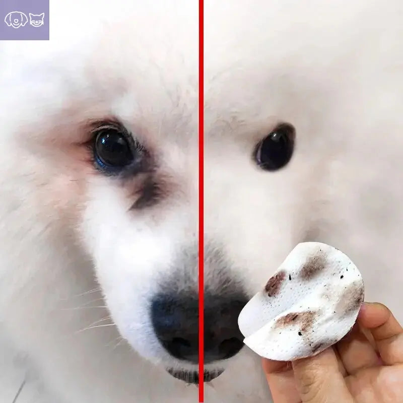 FreshGaze™  Eye Cleaning