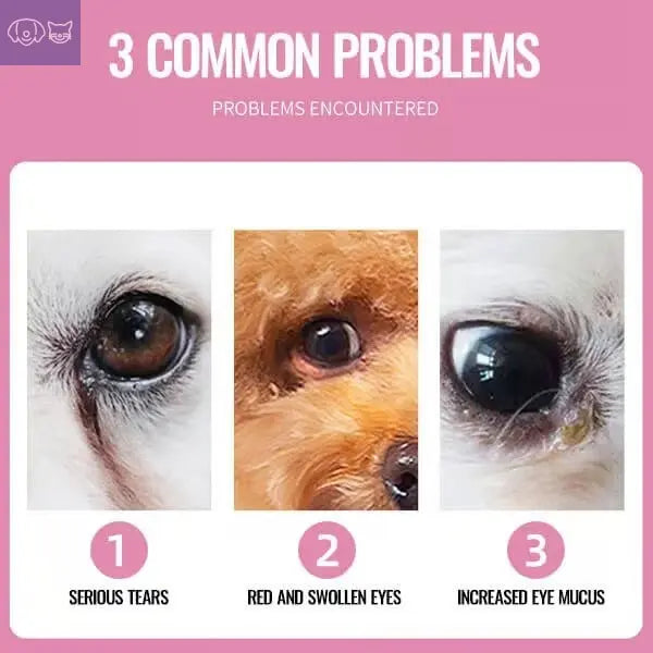 FreshGaze™  Eye Cleaning