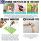 Pet Training Spray