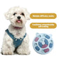 Pet Slow Food Bowls - Interactive Brain Training for Healthy Eating