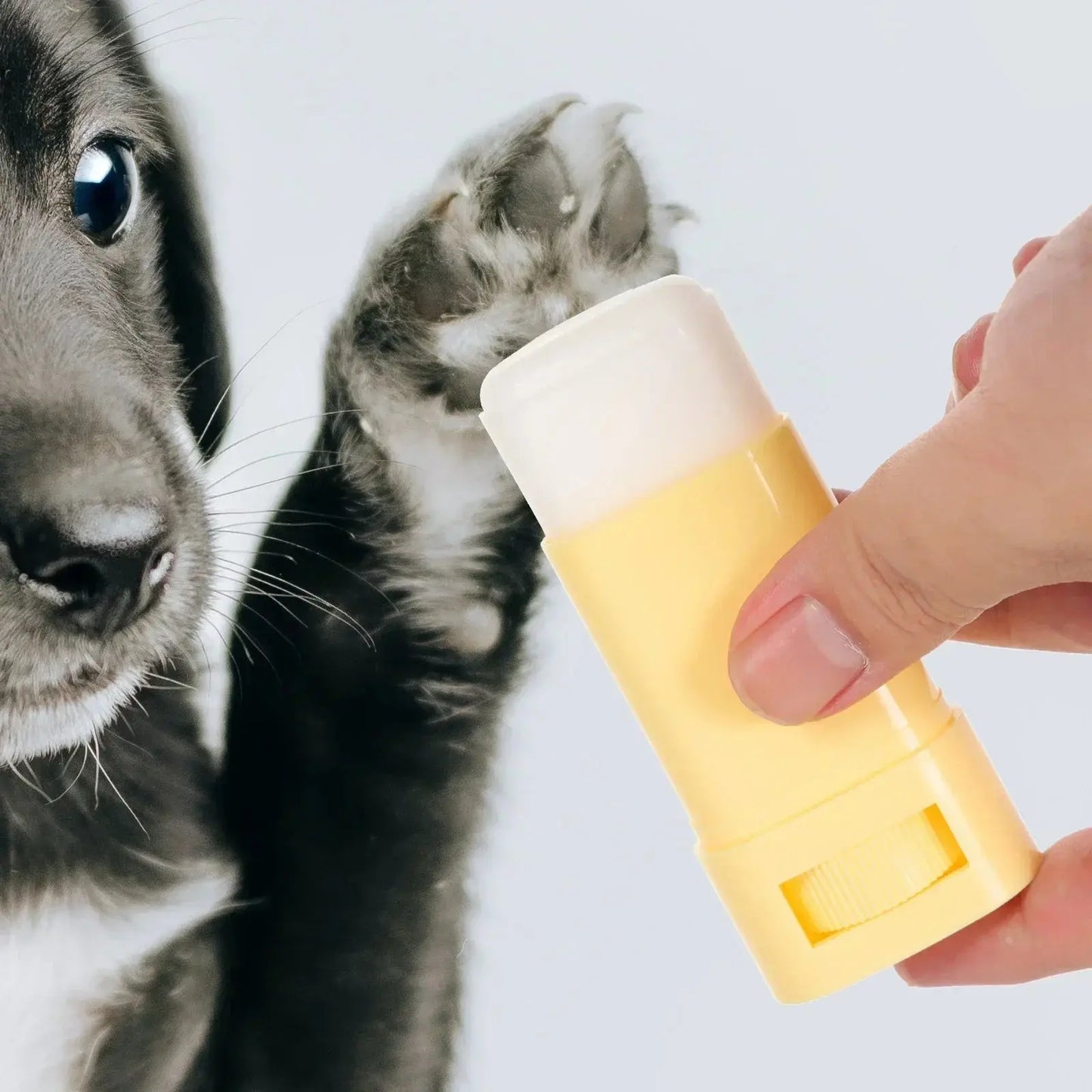 PetPaw Bliss: Winter Care Moisturizer for Cats and Dogs
