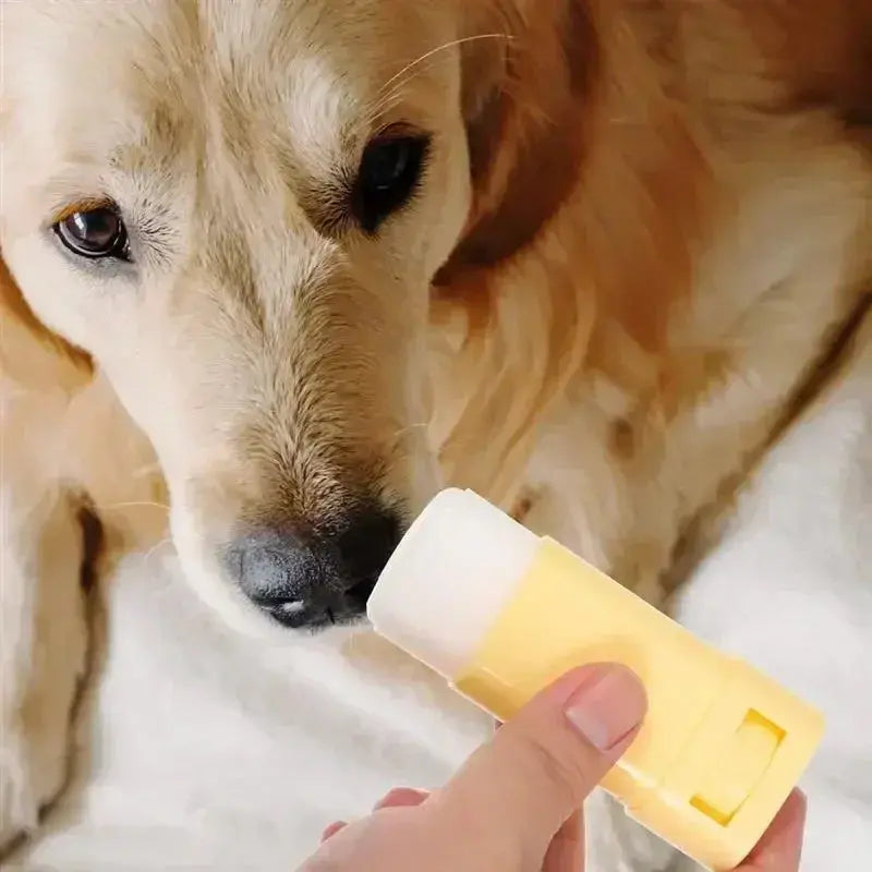 PetPaw Bliss: Winter Care Moisturizer for Cats and Dogs