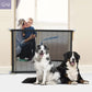 Portable Pet Safety Door Guard – Keep Your Furry Friends Safe at Home