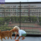 Portable Pet Safety Door Guard – Keep Your Furry Friends Safe at Home