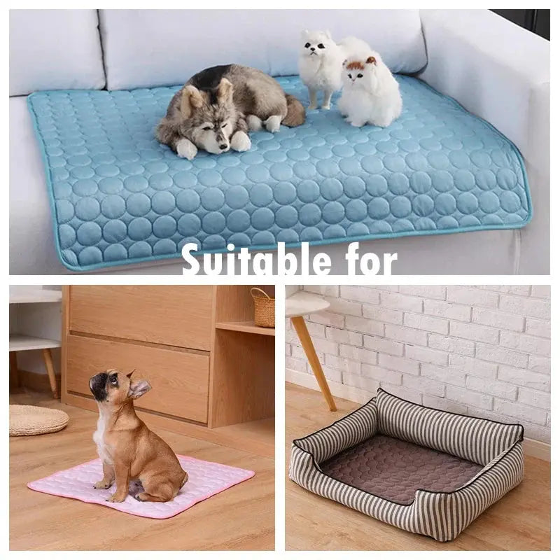 PupChill™