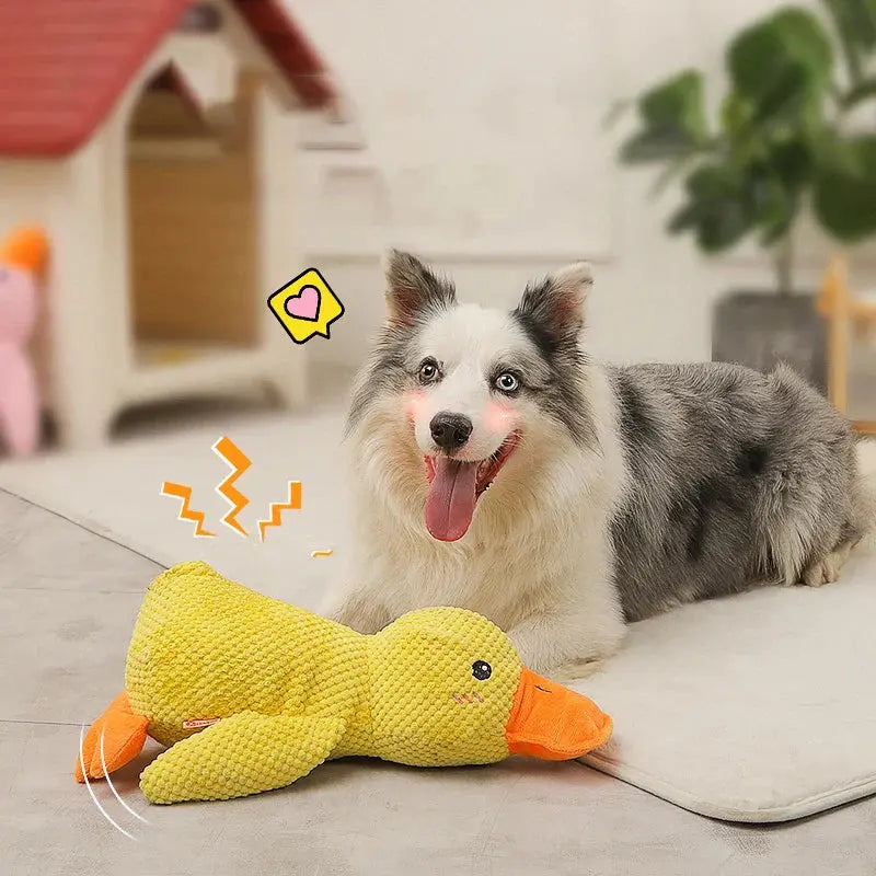 PawQuacker™