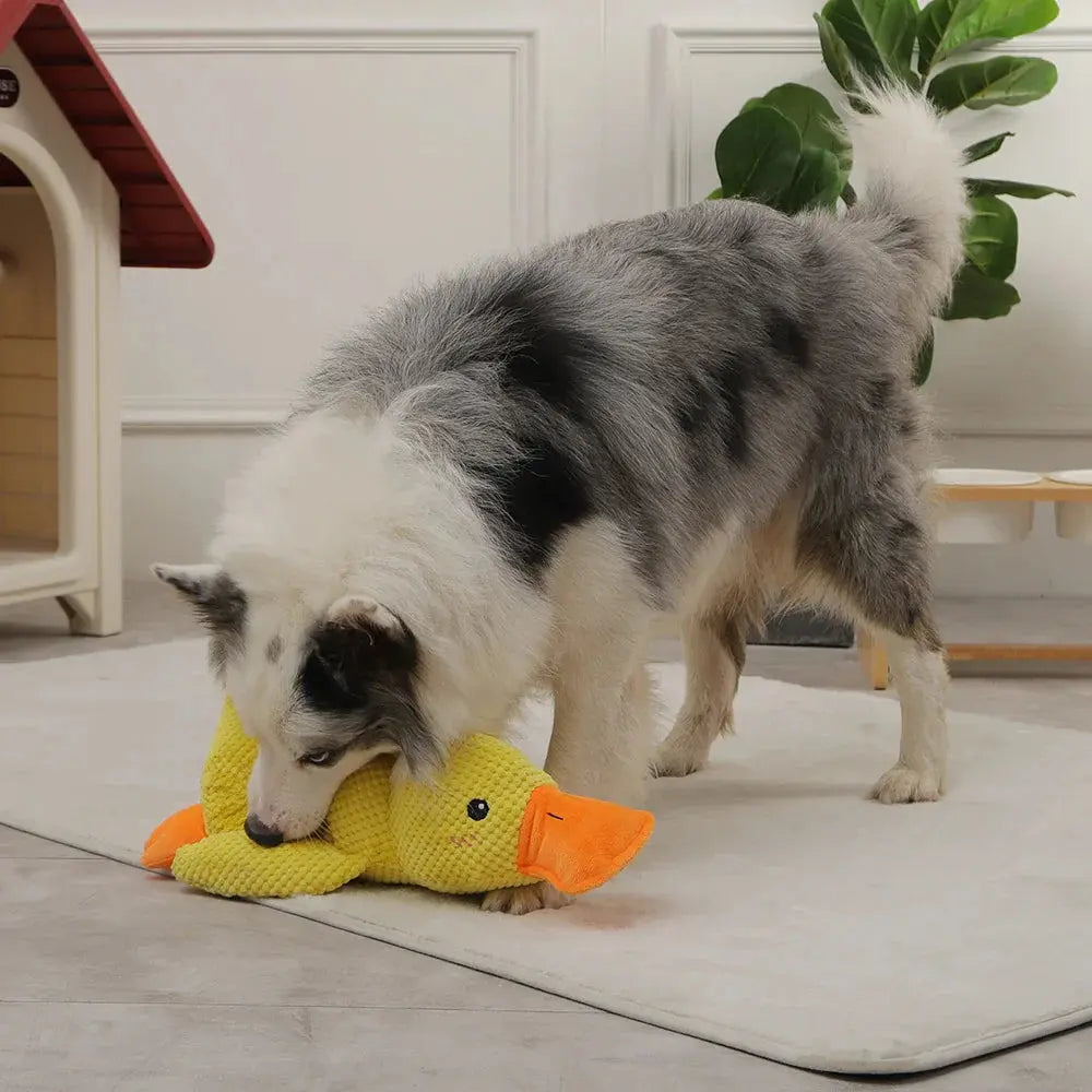 PawQuacker™
