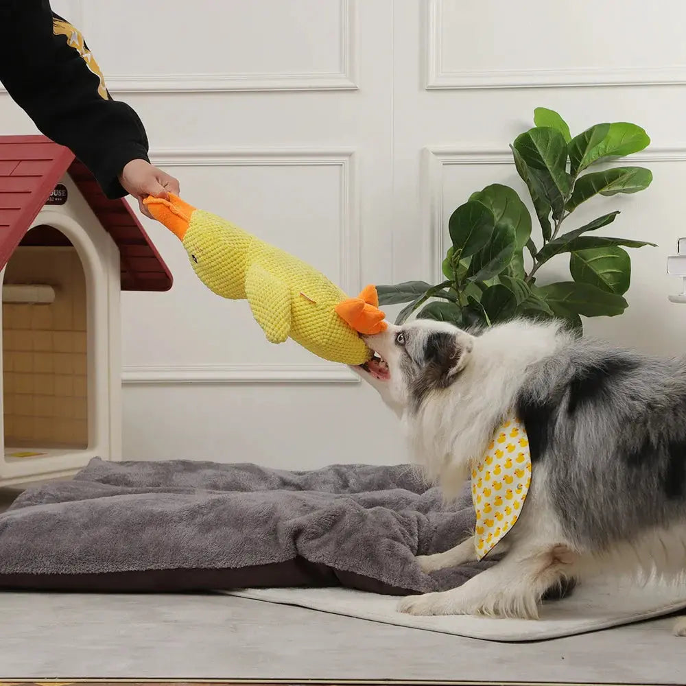 PawQuacker™