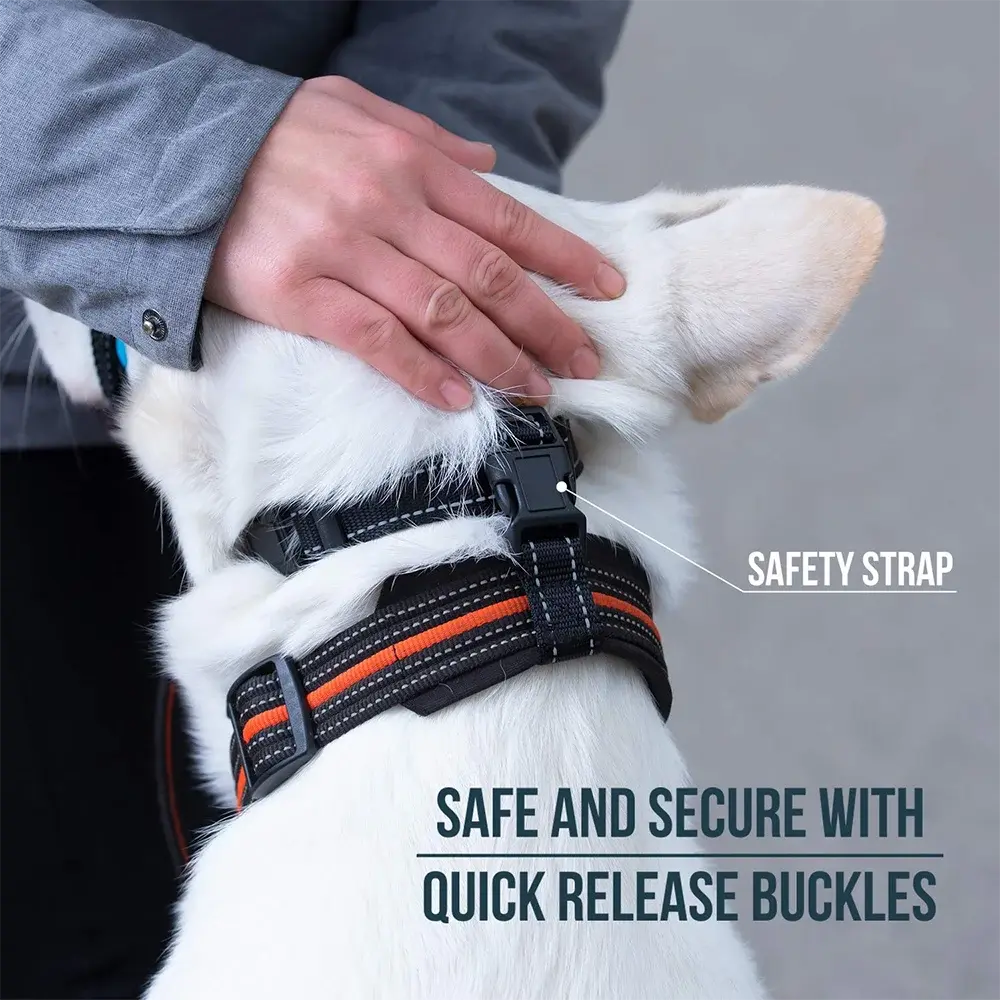 Head Halter Muzzle | QuickEase Anti-Bite & No-Pull Control for Dogs