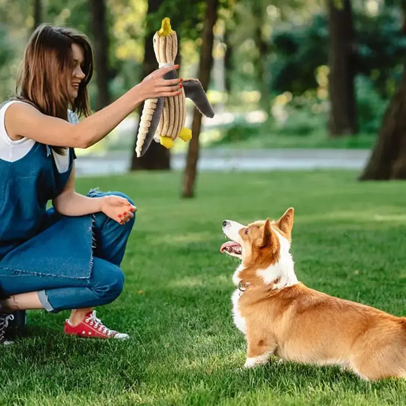 🔥ROBUSTDUCK- DESIGNED FOR TOUGH CHEWERS