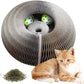 Magic Cat Scratch Organ Board Cat Toy – Fun Ball &amp; Corrugated Claw Climbing Frame