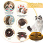 Magic Cat Scratch Organ Board Cat Toy – Fun Ball &amp; Corrugated Claw Climbing Frame
