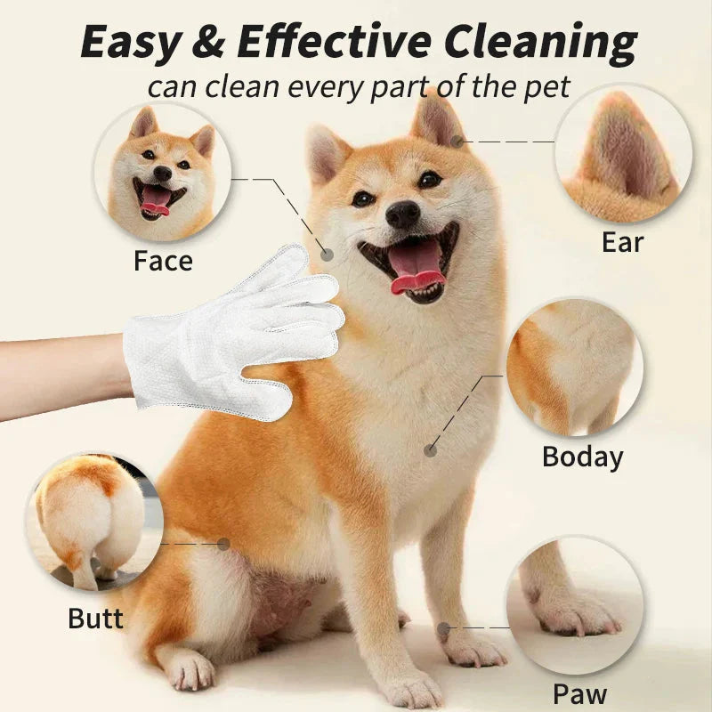 DryBathe™ Grooming Pro