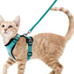 Cat Harness and Leash for Walking – Escape Proof, Soft &amp; Adjustable Vest Harnesses
