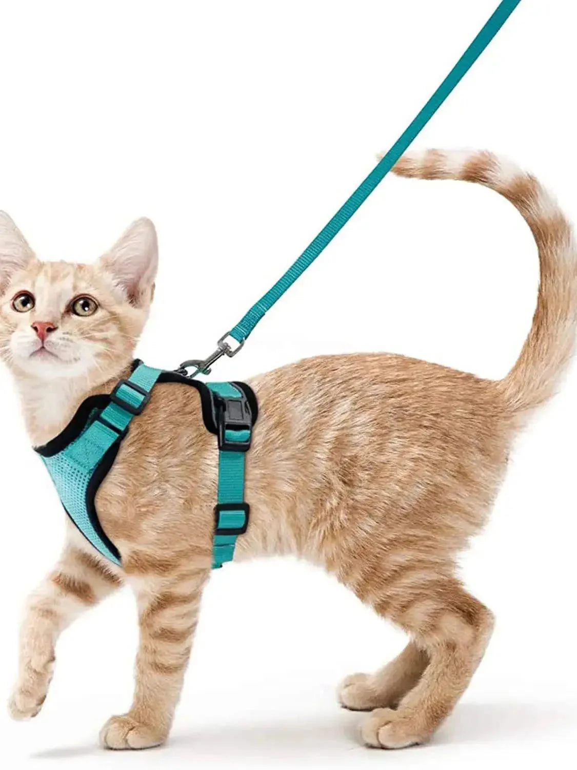 Cat Harness and Leash for Walking – Escape Proof, Soft &amp; Adjustable Vest Harnesses