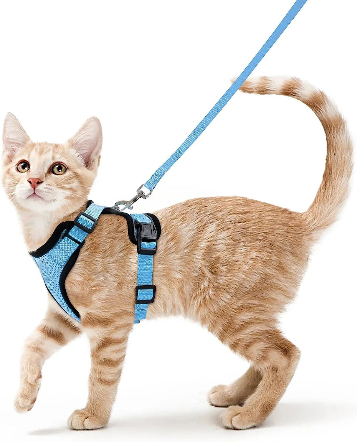 Cat Harness and Leash for Walking – Escape Proof, Soft &amp; Adjustable Vest Harnesses