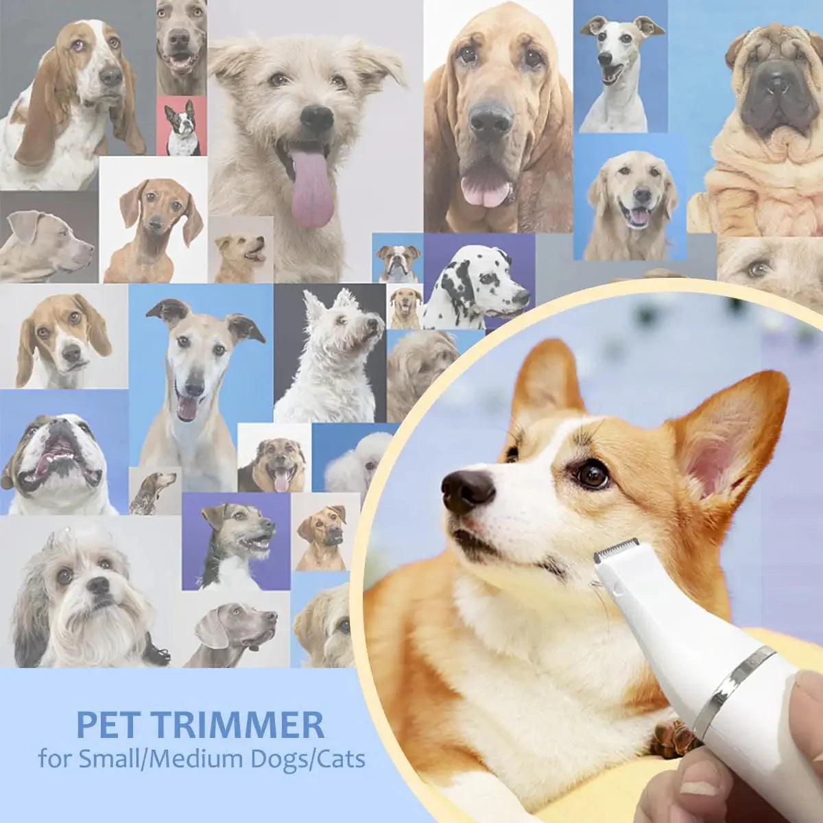 TranquilPaws™ Kit