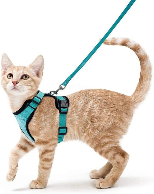 Cat Harness and Leash for Walking – Escape Proof, Soft &amp; Adjustable Vest Harnesses