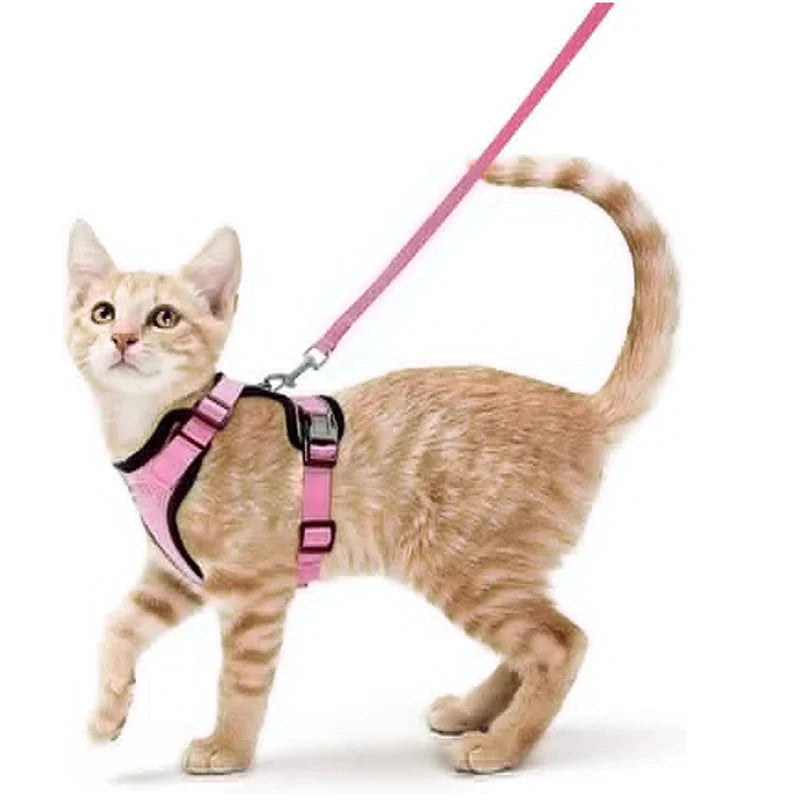 Cat Harness and Leash for Walking – Escape Proof, Soft &amp; Adjustable Vest Harnesses