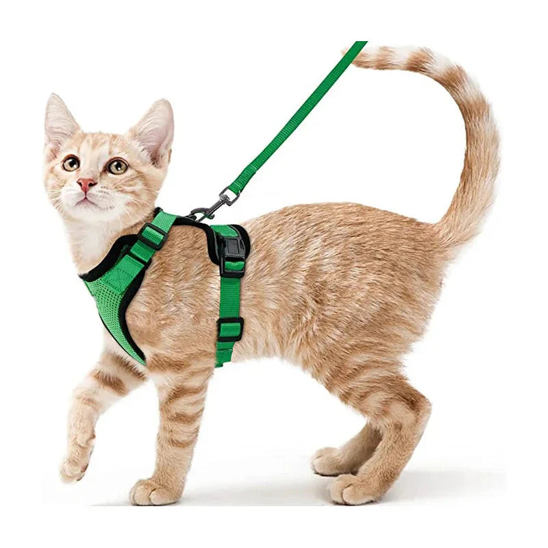 Cat Harness and Leash for Walking – Escape Proof, Soft &amp; Adjustable Vest Harnesses
