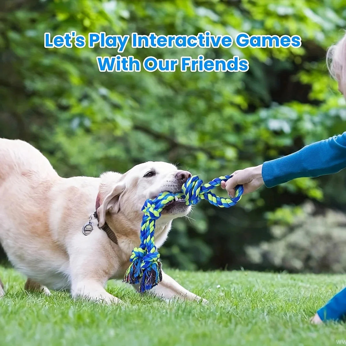 UNBREAKABLE CHEW TOY - DESIGNED FOR HEAVY CHEWERS