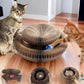 Magic Cat Scratch Organ Board Cat Toy – Fun Ball &amp; Corrugated Claw Climbing Frame