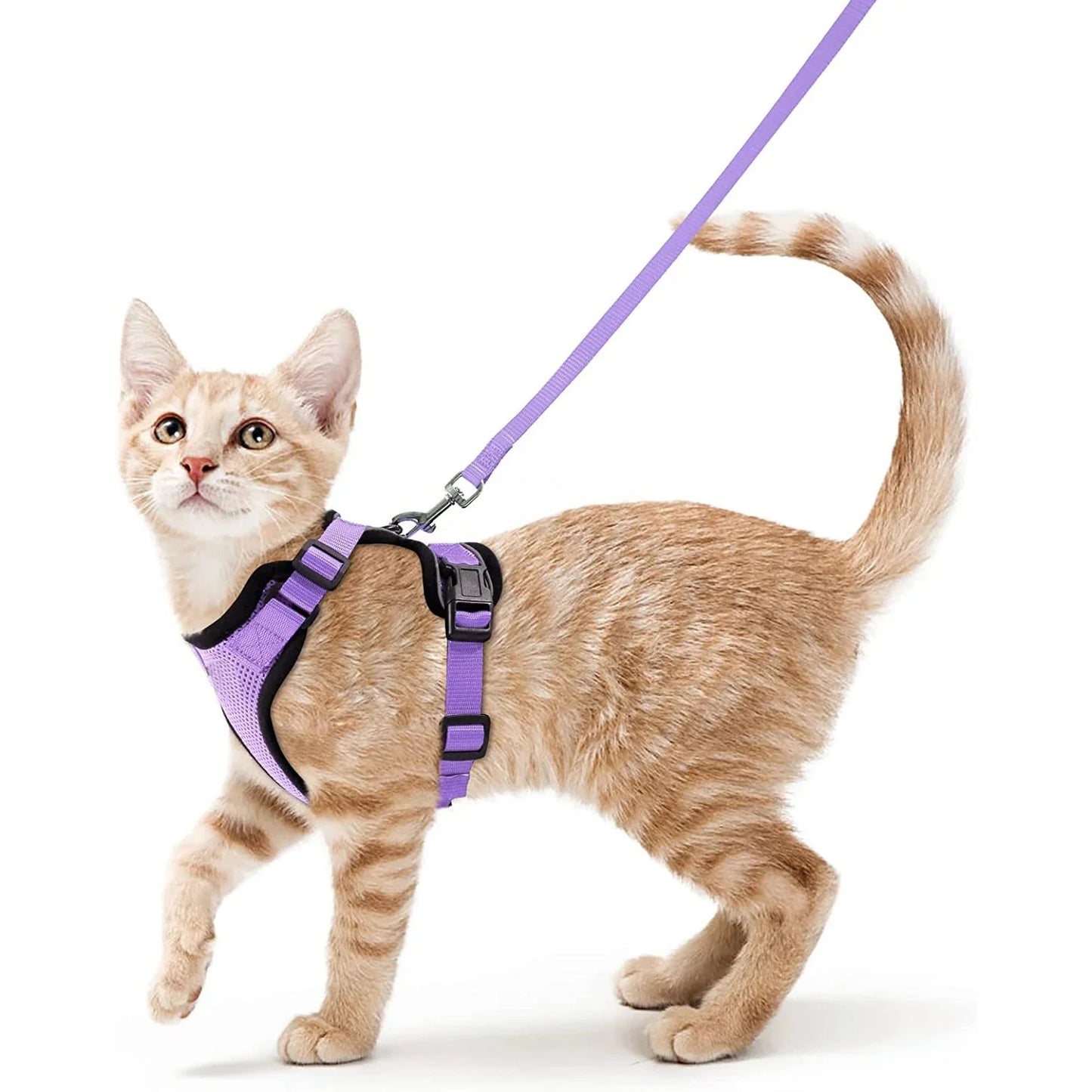 Cat Harness and Leash for Walking – Escape Proof, Soft &amp; Adjustable Vest Harnesses