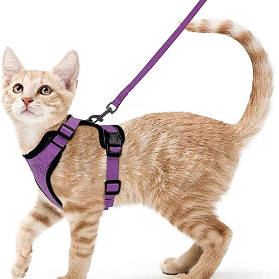 Cat Harness and Leash for Walking – Escape Proof, Soft &amp; Adjustable Vest Harnesses
