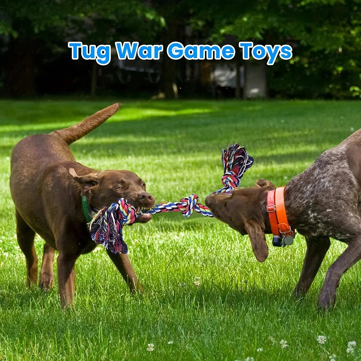 UNBREAKABLE CHEW TOY - DESIGNED FOR HEAVY CHEWERS