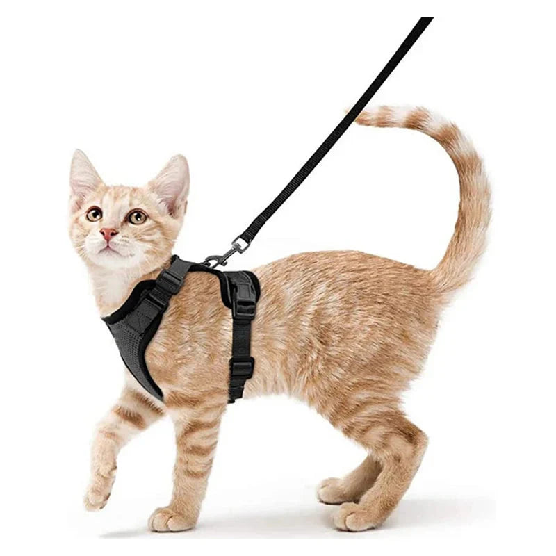 Cat Harness and Leash for Walking – Escape Proof, Soft &amp; Adjustable Vest Harnesses