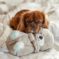 Snugglepup™ - Calming Dog Toy