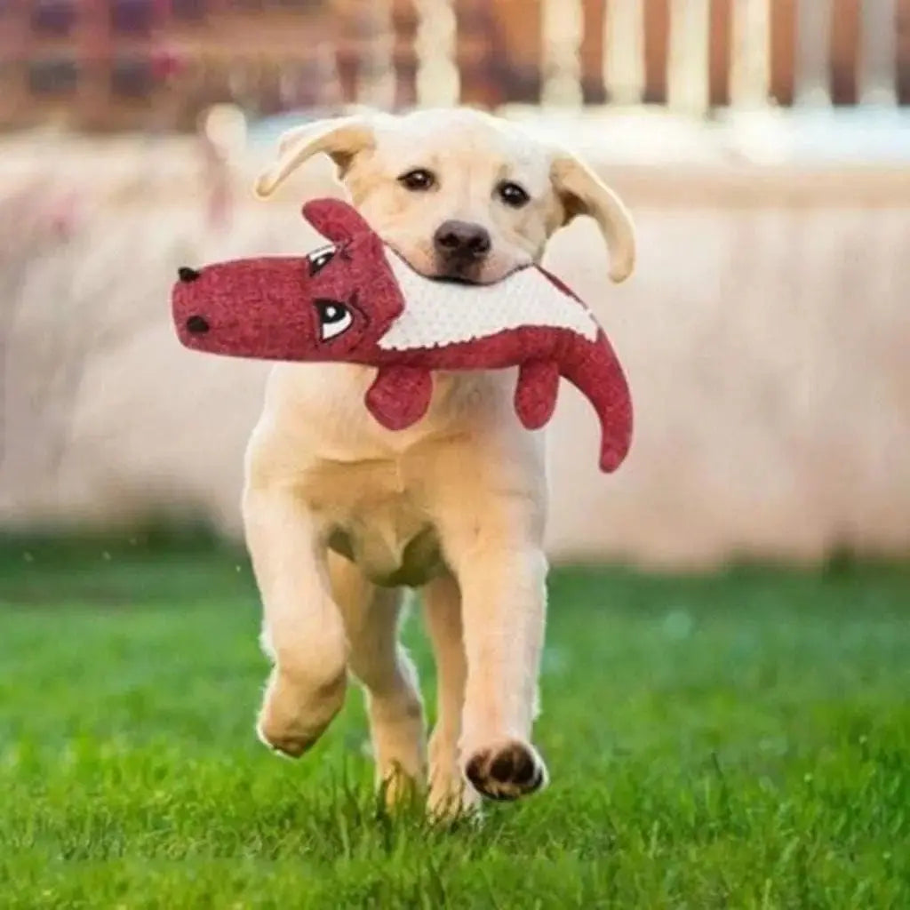 Squeaky crocodile plush for aggressive chewers🐾