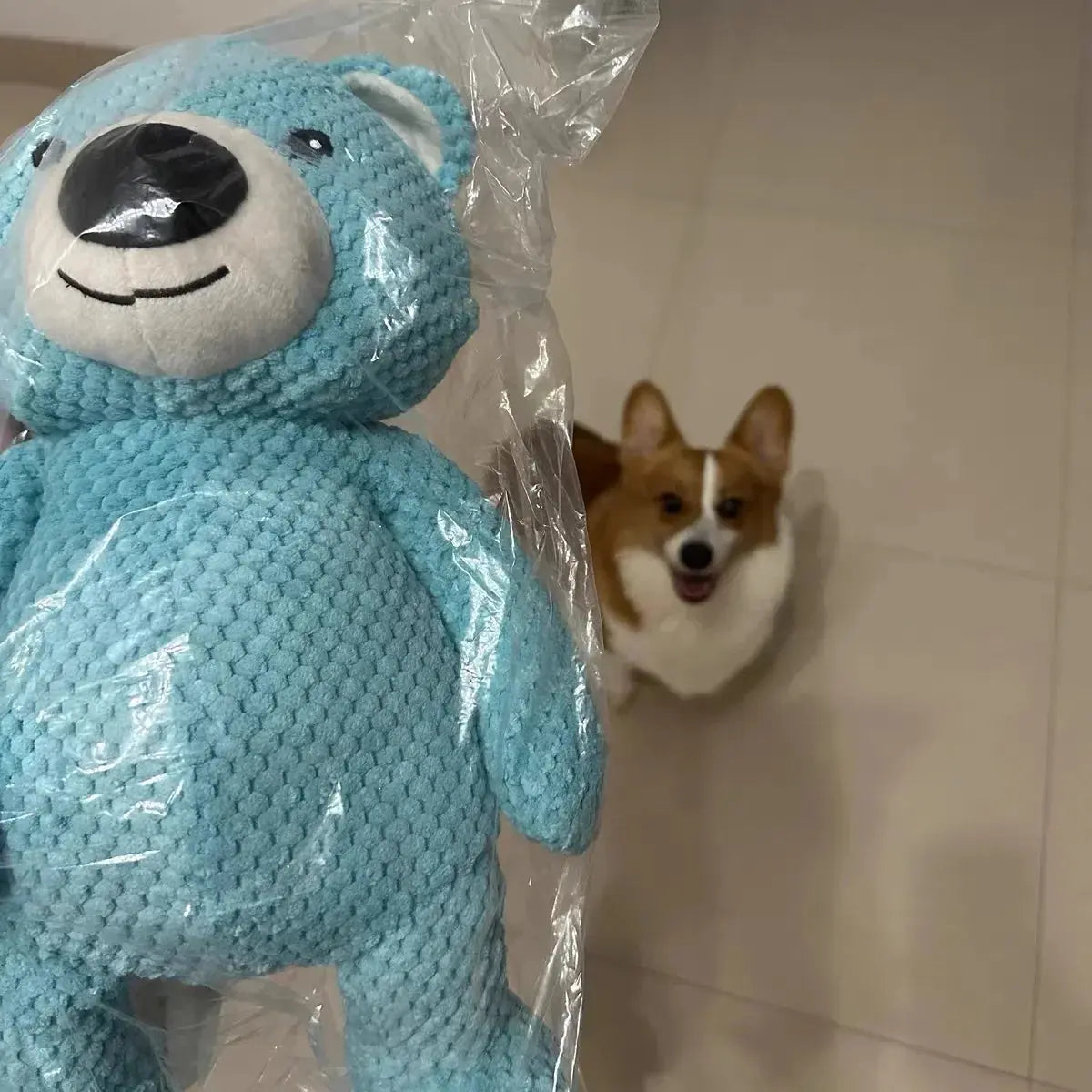 TeddyTough™ Premium Plush Toy