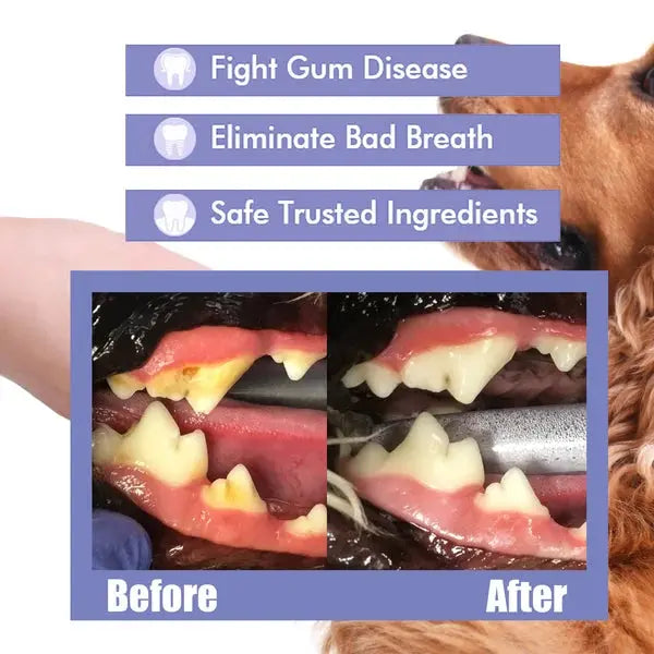 BarkBright™