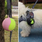 Pet Tennis Ball Holder with Hook